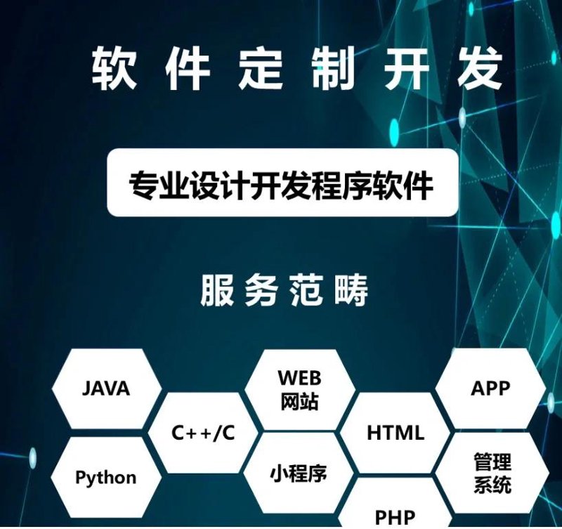网站建设计划——引领企业数字化未来